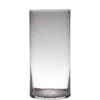 Hakbijl Glass Vaas - Cilinder - Bubbel Glas - 40 X 19 Cm -Merkloos Winkel 1000027966