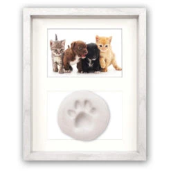 Zep Fotolijstje - Hout - Poot Print Kitten - Foto 10 X 15 Cm
