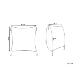 Beliani Sierkussen DEADNETTLE - Beige Katoen -Merkloos Winkel fe9fb8a49cbb4f48be55d96ba501bffc